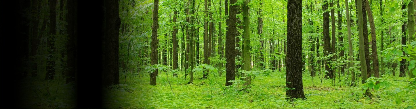 Екологичен инженеринг